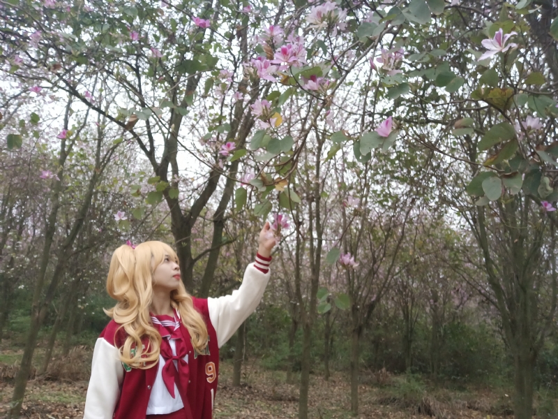 暮秋的第一张照片--玉林交友中心