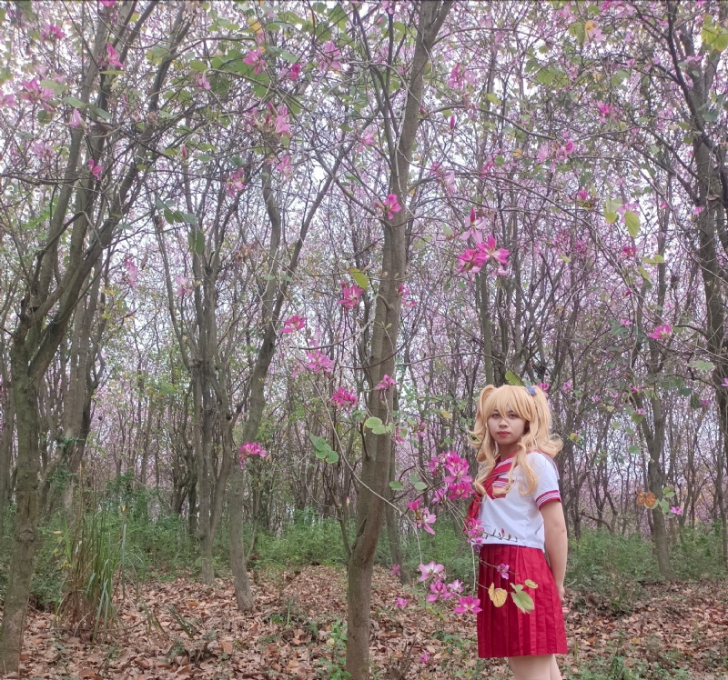 暮秋的第三张照片--玉林交友中心